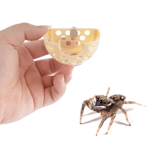Image of DQITJ Jumping Spider Hidden House Tarantula Enclosure Accessories with Magnet and Water Bowl for Tarantula Insect Praying Mantis Jumping Spider Stick Insect