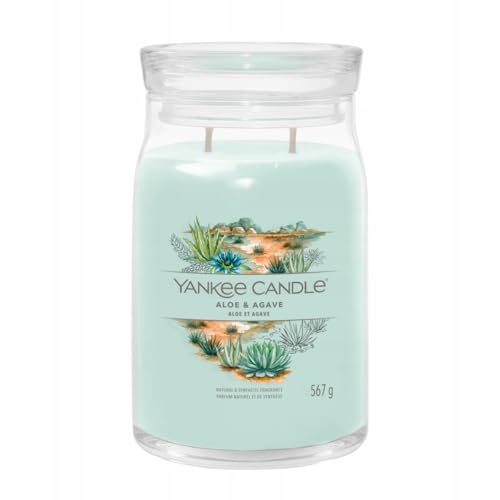 Yankee Candle Aloe & Agave Large Jar