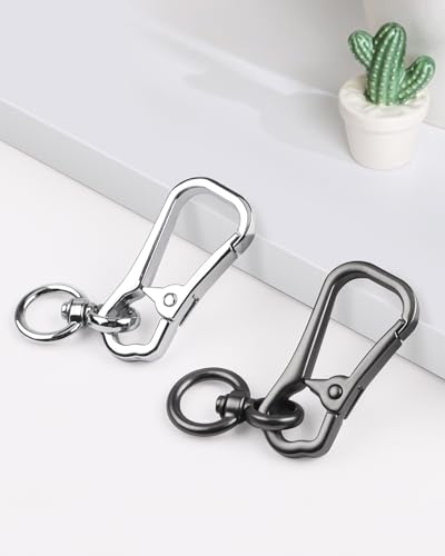 Caianwin Karabinerhaken Klein, 360° Drehgelenk Karabiner Schlüsselanhänger – Quadratisch, Metall Keychain für Herren und Damen (Silber und Schwarz)