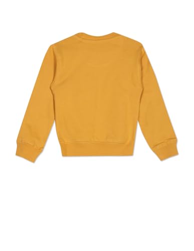 Image of U.S. Polo Assn. Boys Sweatshirt