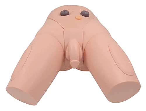 GTHTUHFD Männlicher Harnröhrenkatheterisierungssimulator, Menschlicher Anatomieunterricht, Praktisches Medizinisches Modell Für Die Schule