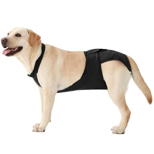 Washable Female Dog Diapers with Suspenders,Reusable Dog Period Diapers,2XL