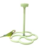 Perca para pájaros, Accesorios interactivos de Jaula y Juguetes de enriquecimiento para cacatúa, Conure, Periquito, Canario, agapornis, pájaros pequeños y medianos