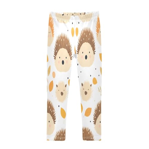 Toddler Girls Leggings Printed Yoga Pants Leggings Hedgehog One for Kids