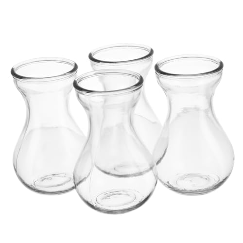 CHICAMPERA Vasi Di Vetro Idroponici Per Giacinti Trasparenti Piccoli, Design Stabile e Raffinato, Set Da 4 Pezzi Per Decorazioni Casa, Ufficio e Negozi Di Fiori