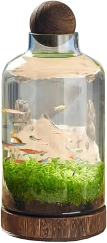 Jingshihaisu 金魚鉢 水槽ボトル 透明ガラス マイクロランドスケープ 木製トレイ 和風水槽 厚手エコボトル ランドスケープ魚鉢 水耕栽培 (B)