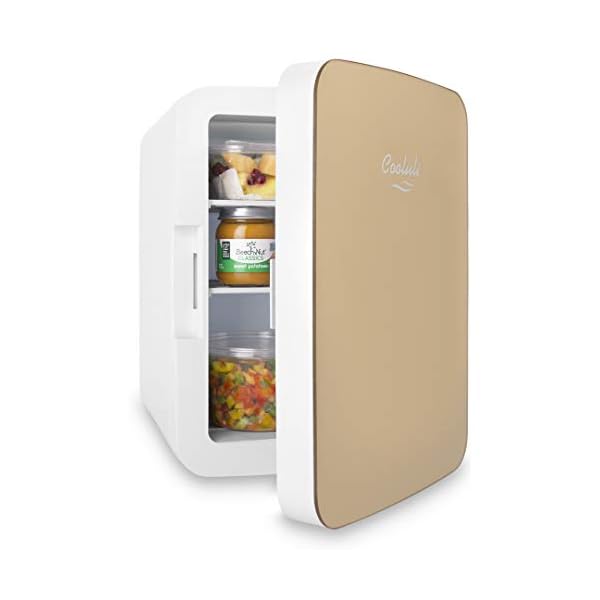 Cooluli 10L Mini Fridge for Bedroom Car, Office Desk & College Dorm