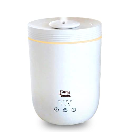 The 10 Best Cool Mist Humidifier No Filter in 2024 Reviewed by