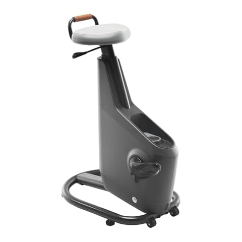 Lifespan Fitness Ampera Office Bike, Power Generating Desk Bike with Eco-Friendly and Sustainable HIPS Materials, 65W USB-C Port / 15W Wireless Charging, Space Gray Cover