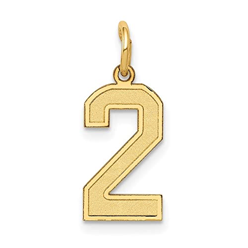 10K Yellow Gold Small Satin Number Charm Pendant