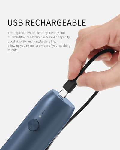 Handheld Milk Frother Wand