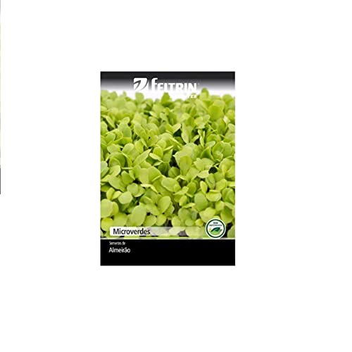 Semente Almeirão Pão de Açúcar (microverde) - 700mg - Feltrin