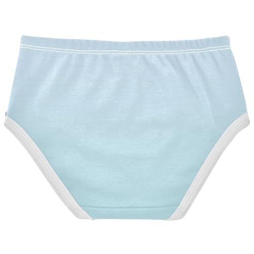 Joisal Blue Powder Gradient Panties Little Girl Girls Underwear Toddlers Cotton Fancy Briefs Girls Undies 2t2