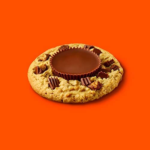 Reeses Peanut Butter Snack Size Cups Candy - Peanut Butter covered in Rich Milk Chocolate - Gluten Free - individually wrapped Bulk Candy (4 Pound)