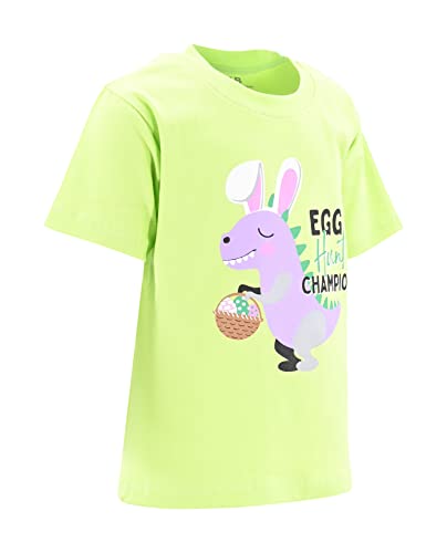 Image of Boys Short Sleeve Funny Graphic Tees for Toddler to Big Kid
