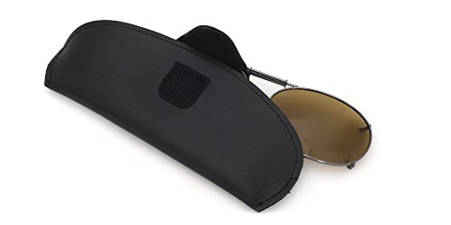 clip on sunglasses case