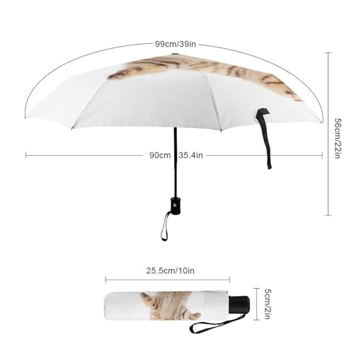 Parapluie pliant automatique crâne robuste face aux intempéries - 2
