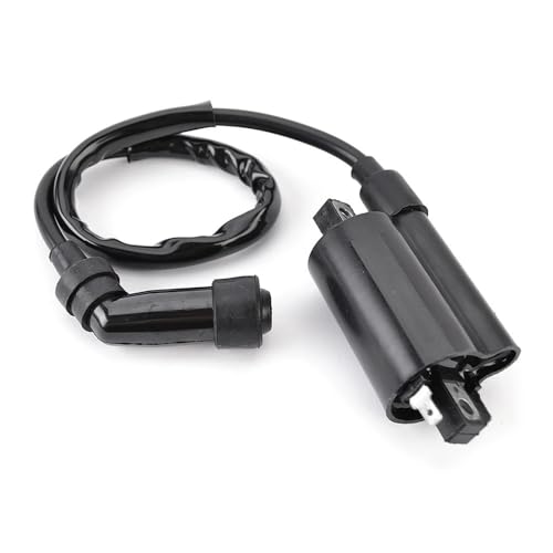 Bobina de encendido para reparar el arranque en frío de motos EN125-2