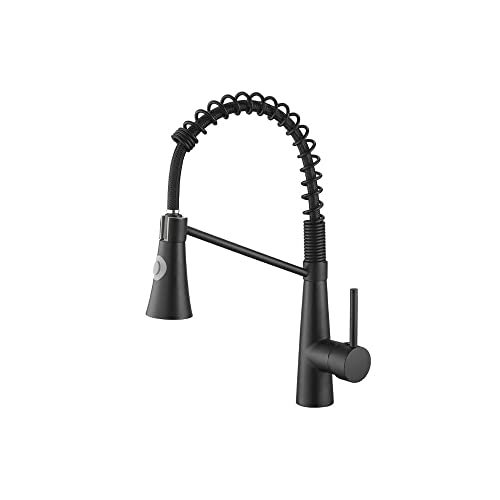 TSHH Modern Kitchen Faucet with Pull Down Sprayer Single Han...