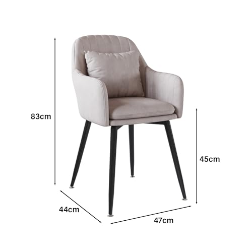 HopeFamily ダイニングチェア イームズチェア 2脚セット スチールフレーム 肘付き 食卓椅子 カフェチェア リビングチェア 背もたれ 枕付き 化粧椅子 北欧 おしゃれ 自宅 リビング キッチン レストラン 飲食店 美容室 耐荷重150kg（47×44×83cm グレー） [3]