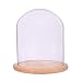 Siyaglass Decorative Clear Glass Dome Cloche Bell Succulent Terrariums Air Plant Covers D-5.9 H-7