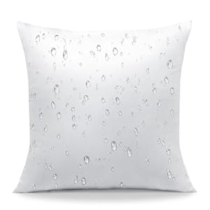 OTOSTAR Waterproof Pillows Insert, 20 x 20 Outdoor Decorative Throw Pillow Insert Soft Fluffy Plump Cushion Insert for Patio Garden Bench Farmhouse Sofa Couch Bed, White OTOSTAR Waterproof Pillows Insert 20 x 20 Outdoor Decorative Throw Pillow Insert Soft Fluffy Plump Cushion Insert for Patio Garden Bench Farmhouse Sofa Couch Bed White