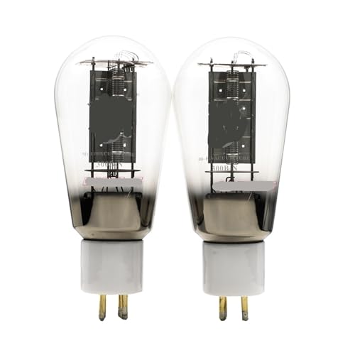 Tube 300B-N pour éliminer les distorsions audio et remplacer la lampe usée 300B-TII