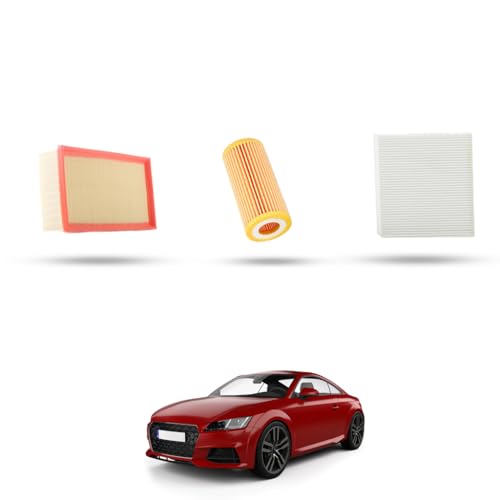 Questo Kit include : 1x Filtro dell'Aria AR30005PM,1x Filtro dell'Olio OL06002E,1x Filtro Abitacolo CK26009