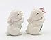 Cute Bunny Rabbits Couple with Flowers Salt & Pepper Shakers