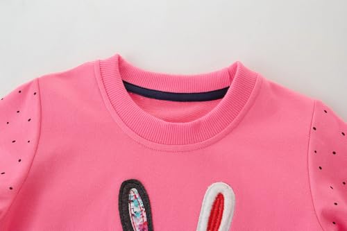 Image of AIWUHE Toddler Cotton Sweatshirt Boys Girls Pullover Long Sleeve Tops 2-6Y