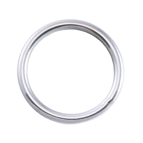 Hollis 2 Inch Round Ring - Stainless