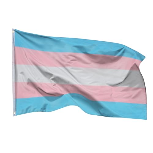 PHENO FLAGS Transgender Flagge 90x150cm - wetterbeständige Pride Fahne mit Messingösen, 100% Polyester, robuste Doppelnaht & in lebendigen Farben - ideal für Flaggen-Liebhaber