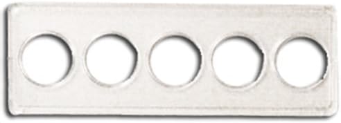 25 Whitman 2x6 Snaplocks 5-Coin Set STATE QUARTERS