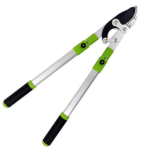 WYZXR Tree Trimmer Bypass Lopper Makes Clean Professional Cuts, Branch Cutter Featuring Sturdy Medium-Sized Handles.