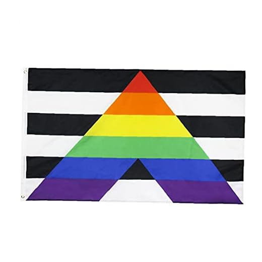 Framsteg pride flagga, regnbåge flagga rakt allierad gay bisexuell trans lesbisk stolthet firande banner 90x150cm