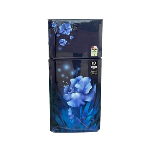 231 L 2 Star Frost-Free Double Door Refrigerator (RT EON 245B 25 HI AQ Blue) (Pack of 1)