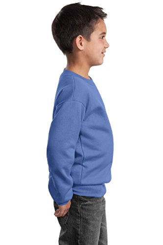 Port & Company Youth Perfect Crewneck Waistband Sweatshirt_Carolina Blue_L2