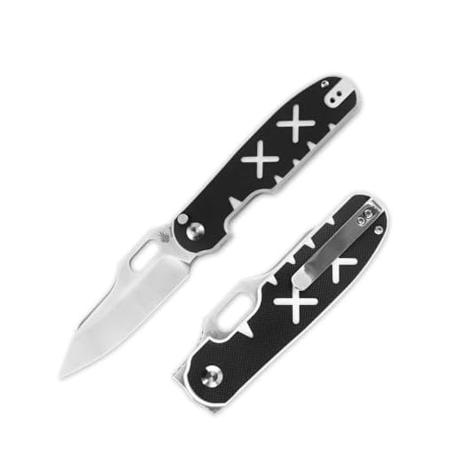 Kizer Cormorant, Button Lock EDC Folding Knife, Thumb Hole and Flipper Opening, Textured G10 Handle with S35VN Blade for Outdoor, Camping, Hunting -Ki4562