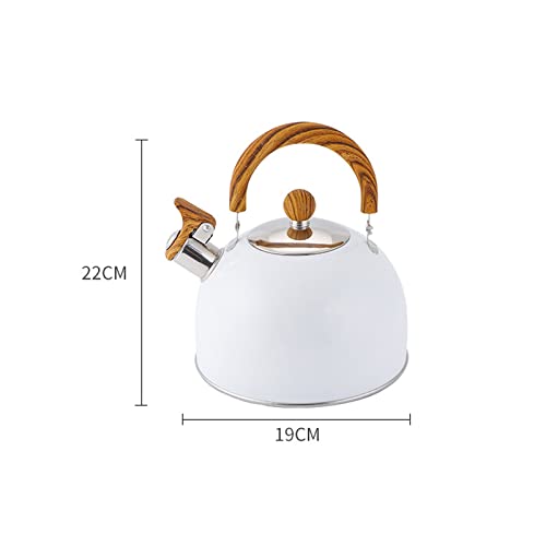 Hervidor eléctrico de agua acero inoxidable miniatura 3