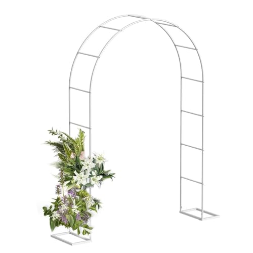 Pergola de mariage en acier pour une décoration extérieure fleurie