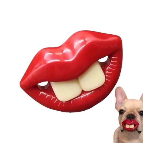 p̂Ԃ̂Ap̃VRԂ | ʔ̂ԂVR`[gC | \tgI[wXPÁAg[jÔ߂Ƀybg𗎂