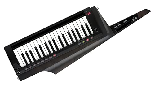 KORG RK-100S 2 シンセサイザー 本体と付属品 RK-100S 2 - KEYTAR | KORG (Japan)