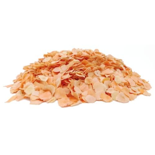 Bongiovanni Bontà Naturali Flocons de Lentilles Rouges Bio 15kg Sans Gluten