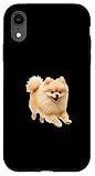 Cane Spitz Tedesco Spitz Tedesco Custodia per iPhone XR