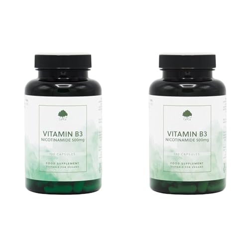 Vitamin B3 Nicotinamide 500mg | Non-Flush High Strength Vitamin B3 | 120 Vegan Capsules | G&G Vitamins (Pack of 2)