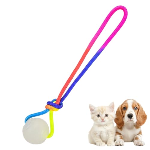 Pelotas para perros que brillan en la oscuridad: juego interactivo de juguetes para mascotas, pelotas hinchables para masticar | Juguetes de enriquecimiento de entrenamiento iluminados para perros peq
