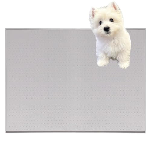 Lifetips EGXgnChzCgeA gC}`FX^[eA ybggC}bg VR h ~ 􂦂  L V[gh~ g[p t[Oی ybggC}bg VR}bg ΍ gCV[g