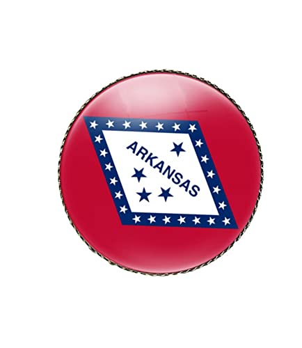Image of vmcoatdu Round 1 Inch South Carolina Flag Pin Brooch Metal and Inlay Glass Revivalism Style Souvenir Badge Brooch for Hat Clothes Backpack
