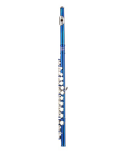 Image of Glory Closed Hole C Flute With Case, Blue