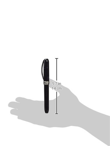 N*I様 VISCONTI Rembrandt ブラックボールペン ビスコンティ（VISCONTI） ボールペンRembrandt レンブラント